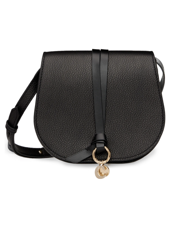 Alphabet Mini Saddle Bag in Black For Sale