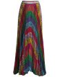 Rainbow Snake Stripe Katz Pleated Maxi Skirt Fashion