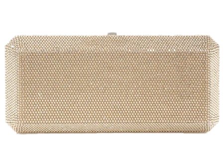 Slim Rectangle Clutch in Prosecco Discount