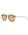 Tortoise Brown Lens Sunglasses Supply