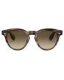 Smoke Chrome Olive Sunglasses For Discount