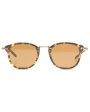 Tortoise Brown Lens Sunglasses Supply