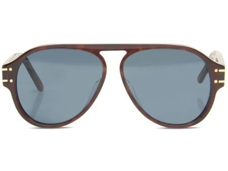 Signature Tortoise Sunglasses Sale