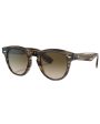 Smoke Chrome Olive Sunglasses For Discount